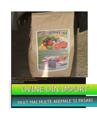 Eingestellt von ADMIN um 01:09 Niciun comentariu:
Trimiteţi prin e-mailPostaţi pe blog!Distribuiţi pe TwitterDistribuiţi pe Facebook
Labels: fertilizer bio, ingrasamant bio, ingrasamant gratis
LINKURI UTILE




                                                                                     >




                                                                                     >
 