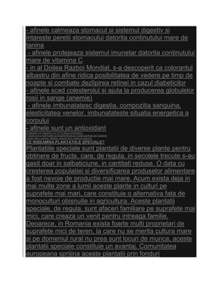 - afinele calmeaza stomacul si sistemul digestiv si
intareste peretii stomacului datorita continutului mare de
tanina
 - afinele protejeaza sistemul imunetar datorita continutului
mare de vitamina C
- in al Doilea Razboi Mondial, s-a descoperit ca colorantul
albastru din afine ridica posibilitatea de vedere pe timp de
noapte si combate dezlipirea retinei in cazul diabeticilor
- afinele scad colesterolul si ajuta la producerea globulelor
rosii in sange (anemie)
 - afinele imbunatatesc digestia, compozitia sanguina,
elesticitatea venelor, imbunatateste situatia energetica a
corpului
- afinele sunt un antioxidant
Eingestellt von alexandru um 14:13 Niciun comentariu:
Trimiteţi prin e-mailPostaţi pe blog!Distribuiţi pe TwitterDistribuiţi pe Facebook
Labels: afine, anemie, digestie, globule rosii, medicina naturala
CE INSEAMNA PLANTATIILE SPECIALE?
Plantatiile speciale sunt plantatii de diverse plante pentru
obtinere de fructe, care, de regula, in secolele trecute s-au
gasit doar in salbaticiune, in cantitati reduse. O data cu
cresterea populatiei si diversificarea produselor alimentare
a fost nevoie de productie mai mare. Acum exista deja in
mai multe zone a lumii aceste plante in culturi pe
suprafete mai mari, care constituie o alternativa fata de
monoculturi obisnuite in agricultura. Aceste plantatii
speciale, de regula, sunt afaceri familiare pe suprafete mai
mici, care creaza un venit pentru intreaga familie.
Deoarece, in Romania exista foarte multi proprietari de
suprafete mici de teren, la care nu se merita cultura mare
si pe domeniul rural nu prea sunt locuri de munca, aceste
plantatii speciale constituie un avantaj. Comunitatea
europeana sprijina aceste plantatii prin fonduri
 