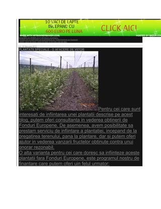 Eingestellt von ADMIN um 01:06 Niciun comentariu:
Trimiteţi prin e-mailPostaţi pe blog!Distribuiţi pe Twitter
                                     Distribuiţi    TwitterDistribuiţi pe Facebook
Labels: capre de carne, capre de lapte, oi de rasa, vaci de rasa

luni, 20 februarie 2012
PLANTATII SPECIALE - O AFACERE DE VIITOR




                                          Pentru cei care sunt
interesati de infiintarea unei plantatii descrise pe acest
blog, putem oferi consultanta in vederea obtinerii de
Fonduri Europene. De asemenea, avem posibilitate sa
prestam serviciu de infiintare a plantatiei, incepand de la
pregatirea terenului, pana la plantare, dar si putem oferi
ajutor in vederea vanzarii fructelor obtinute contra unui
   tor
onorar rezonabil.
O alta varianta pentru cei care doresc sa infiinteze aceste
plantatii fara Fonduri Europene, este programul nostru de
finantare care putem oferi uin felul urmator:
 