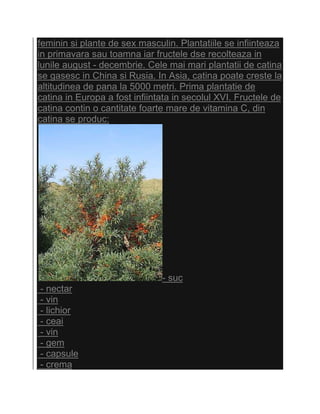 feminin si plante de sex masculin. Plantatiile se infiinteaza
in primavara sau toamna iar fructele dse recolteaza in
lunile august - decembrie. Cele mai mari plantatii de catina
se gasesc in China si Rusia. In Asia, catina poate creste la
altitudinea de pana la 5000 metri. Prima plantatie de
catina in Europa a fost infiintata in secolul XVI. Fructele de
catina contin o cantitate foarte mare de vitamina C, din
catina se produc:




                               - suc
- nectar
- vin
- lichior
- ceai
- vin
- gem
- capsule
- crema
 