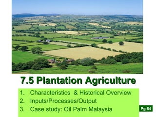 7.5 Plantation Agriculture ,[object Object],[object Object],[object Object],Pg 54 