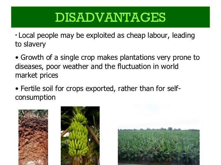 Advantages And Disadvantages Of Agriculture In The