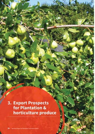 3.	Export Prospects
for Plantation 
horticulture produce
20 | Sectoral Paper on Plantation and Horticulture
 