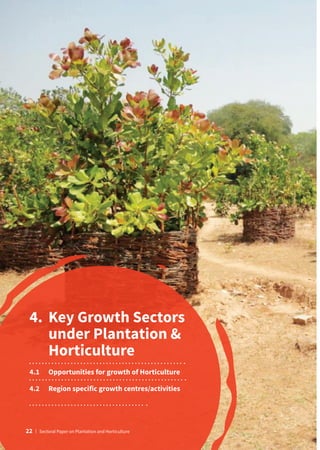 4.	
Key Growth Sectors
under Plantation 
Horticulture
4.1	 Opportunities for growth of Horticulture
4.2	
Region specific growth centres/activities
22 | Sectoral Paper on Plantation and Horticulture
 