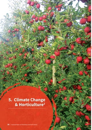 5.	Climate Change
 Horticulture2
26 | Sectoral Paper on Plantation and Horticulture
 