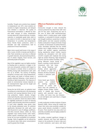 humidity. Though some varieties have adapted
to temperatures over 30°C, most varieties are
sensitive to higher temperatures and delayed
curd initiation is observed. The quality of
horticultural commodities is affected by heat
and water stresses. In onion, temperature
increase above 40°C reduces bulb size. In potato,
reduction in marketable grade tuber yield to
the extent of 10-20% is observed due to high
temperature. In cucumber, low temperatures
favour female flower production, which is
desirable and high temperatures lead to
production of more male flowers.
Water stress caused yield losses in the range of
26% in onion, 30-45% in tomato and 50-60% in
chilli. Plant sensitivity to salt stress is reflected
in growth reduction, decreased photosynthesis,
loss of cellular integrity, tissue necrosis, and
potentially death of the plant.
Most of the vegetable crops are highly sensitive
to flooding due to reduction in oxygen in the
root zone and genetic variation with respect to
this character is limited. Onion is sensitive to
flooding during bulb development with yield
loss up to 30-40%. The severity of flooding
symptoms increases with rising temperatures;
rapid wilting and death of tomato plants is
usually observed following a short period of
flooding at high temperatures. The response of
plants to environmental stresses depends on
the developmental stage and the length and
severity of the stresses.
During the last 40-50 years, air pollution level
increasing at an alarming rate in the developing
countries and causing potential threat to the
crop production. Sulphur dioxide, nitrogen
oxide, hydro fluoride, ozone and acid rain are the
primary air pollutant. Ozone has adverse effect
on vegetable production in terms of reducing
growth, yield and quality. Risk of the air pollution
is more when vegetable crops grown close
to the densely populated areas. Air pollution
significantly decreased the yield upto more
than 50 percent in case of cabbage, cauliflower,
knol khol, broccoli, lettuce, radish, etc. Many
vegetable crops namely tomato, water melon,
potato, squash, cantaloupe, peas, carrot, beet,
turnip, etc are more susceptible to air pollution
damage. Yield of vegetable can be reduced by
5-15 percent when daily ozone concentrations
reach to greater than 50 ppb.
Effect on Plantation and Spice
crops
Consecutive drought in India reduced the
coconut production by about three lakh nuts/
year for four years. Productivity loss was to
the tune of about 3500 nuts/hectare/year.
Cashew, which is mostly grown under rainfed
conditions, is vulnerable to climatic variability
and drought conditions caused due to shifts in
rainfall pattern and inter seasonal variability.
Studies conducted on ‘Impact of climate change
in cashew’ at Directorate of Cashew Research,
Puttur, Karnataka indicated that the rainfed
cashew crop is highly sensitive to changes in
climate and weather vagaries, particularly
during reproductive phase. Cashew requires
relatively dry atmosphere and mild winter
(15-20°C) coupled with moderate dew during
night for profuse flowering. High temperature
(34.4°C) and low relative humidity (20%)
during afternoon causes drying of
flowers, resulting in yield reduction.
Unseasonal rains and heavy
dew during flowering and
fruiting period aggravated
the incidence of pests and
diseases. All these situations
resulted in reduction yield
up to 50 to 65%.
Cocoa based agro forestry
systems are credited
for stocking significant
amounts of carbon and
hence have the potential to
mitigate climate change. Carbon
stocks in shaded agro forestry
systems with perennial crops such
as coffee, and cocoa may vary between
12 and 228 Mg/ha and could help to mitigate
climate change.
A study conducted at Indian Institute of Spices
Research (IISR), Calicut using GIS models has
shown that many areas presently suitable for
spices would become unsuitable in another
25 years. There would be new areas which are
presently unsuitable, become highly suitable for
cultivation of spices.
The studies revealed significant changes in
weather elements and have had significant
impact on the production of spices crops such
as small cardamom, seed spices and black
Sectoral Paper on Plantation and Horticulture | 29
 