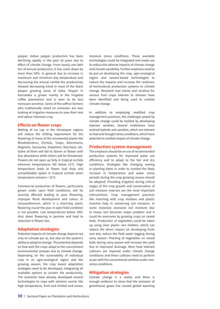 pepper. Indian pepper production has been
declining rapidly in the past 10 years due to
effect of climate change. From nearly one lakh
ton of annual production, it has come down by
more than 50%. In general due to increase in
maximum and minimum day temperature and
decreasing the annual rainfall the productivity
showed decreasing trend in most of the black
pepper growing areas of India. Pepper in
Karnataka is grown mainly in the irrigated
coffee plantations and is seen to be less
monsoon sensitive. Some of the saffron farmers
who traditionally relied on rainwater are now
looking at irrigation measures to save their rare
and labour intensive crop.
Effects on flower crops
Melting of ice cap in the Himalayan regions
will reduce the chilling requirement for the
flowering of many of the ornamental plants like
Rhododendron, Orchids, Tulips, Alstromeria,
Magnolia, Saussurea, Impatiens, Narcissus, etc.
Some of them will fail to bloom or flower with
less abundance while others will be threatened.
Flowers do not open up fully in tropical orchids
wherever temperatures fall below 15°C. High
temperature leads to flower bud drop and
unmarketable spikes in tropical orchids when
temperature remains  35°C.
Commercial production of flowers, particularly
grown under open field conditions, will be
severely affected leading to poor flowering,
improper floral development and colour. In
chrysanthemum, which is a short-day plant,
flowering round the year in open field condition
is not possible. Low temperatures below 190C
shut down flowering in jasmine and lead to
reduction in flower size.
Adaptation strategies
Potential impacts of climate change depend not
only on climate per se, but also on the system’s
abilitytoadapttochange.Thepotentialdepends
on how well the crops adapt to the concomitant
environmental stresses due to climate change.
Depending on the vulnerability of individual
crop in an agro-ecological region and the
growing season, the crop based adaptation
strategies need to be developed, integrating all
available options to sustain the productivity.
The scientists have already developed several
technologies to cope with extreme events like
high temperature, frost and limited and excess
moisture stress conditions. These available
technologies could be integrated and made use
to reduce the adverse impacts of climate change
andclimatevariability.Furtheremphasisneedto
be put on developing the crop, agro-ecological
region and season-based technologies to
reduce the impacts and increase the resilience
of horticultural production systems to climate
change. Resistant root stocks and varieties for
various fruit crops tolerant to stresses have
been identified and being used to combat
climate change.
In addition to employing modified crop
management practices, the challenges posed by
climate change could be tackled by developing
tolerant varieties. Several institutions have
evolved hybrids and varieties, which are tolerant
to heat and drought stress conditions, which have
potential to combat impact of climate change.
Production system management
The emphasis should be on use of recommended
production systems for improved water use
efficiency and to adapt to the hot and dry
conditions. Strategies like changing sowing
or planting dates in order to combat the likely
increase in temperature and water stress
periods during the crop-growing season should
be adopted. Providing irrigation during critical
stages of the crop growth and conservation of
soil moisture reserves are the most important
interventions. Crop management practices
like mulching with crop residues and plastic
mulches help in conserving soil moisture. In
some instances excessive soil moisture due
to heavy rain becomes major problem and it
could be overcome by growing crops on raised
beds. Production of vegetables could be taken
up using clear plastic rain shelters, which can
reduce the direct impact on developing fruits
and also reduce the field water logging during
rainy season. Planting of vegetables on raised
beds during rainy season will increase the yield
due to improved drainage. More heat tolerant
cultivars are required under climate change
conditions and these cultivars need to perform
at par with the conventional varieties under non-
stress conditions.
Mitigation strategies
Climate change is a reality and there is
enough evidence to show that the emission of
greenhouse gases has caused global warming
30 | Sectoral Paper on Plantation and Horticulture
 