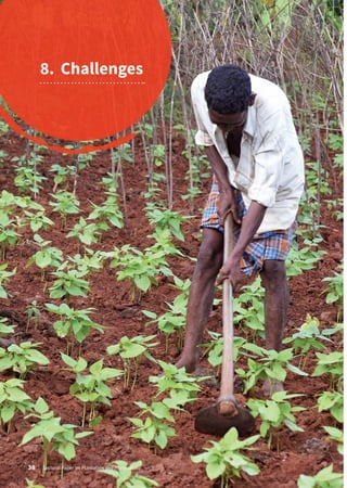 8.	Challenges
38 | Sectoral Paper on Plantation and Horticulture
 