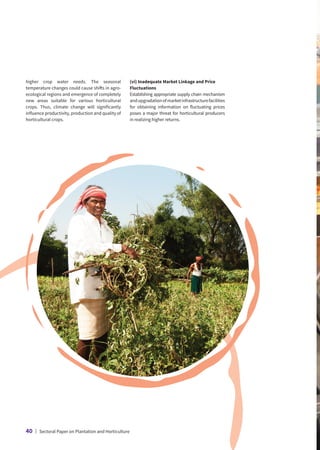 higher crop water needs. The seasonal
temperature changes could cause shifts in agro-
ecological regions and emergence of completely
new areas suitable for various horticultural
crops. Thus, climate change will significantly
influence productivity, production and quality of
horticultural crops.
(vi) Inadequate Market Linkage and Price
Fluctuations
Establishing appropriate supply chain mechanism
andupgradationofmarketinfrastructurefacilities
for obtaining information on fluctuating prices
poses a major threat for horticultural producers
in realizing higher returns.
40 | Sectoral Paper on Plantation and Horticulture
 