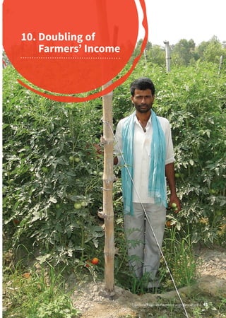 10. 
Doubling of
Farmers’ Income
Sectoral Paper on Plantation and Horticulture | 43
 