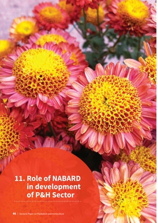 11. 
Role of NABARD
in development
of PH Sector
46 | Sectoral Paper on Plantation and Horticulture
 