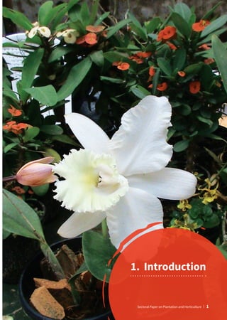 1.	Introduction
Sectoral Paper on Plantation and Horticulture | 1
 