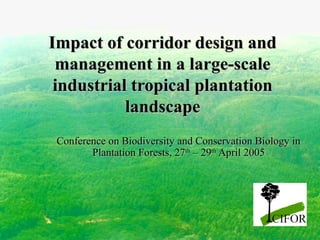 Impact of corridor design and
management in a large-scale
industrial tropical plantation
landscape
Conference on Biodiversity and Conservation Biology in
Plantation Forests, 27th – 29th April 2005

 