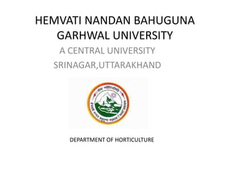 HEMVATI NANDAN BAHUGUNA
GARHWAL UNIVERSITY
A CENTRAL UNIVERSITY
SRINAGAR,UTTARAKHAND
DEPARTMENT OF HORTICULTURE
 
