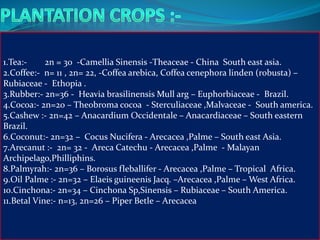 1.Tea:- 2n = 30 -Camellia Sinensis -Theaceae - China South east asia.
2.Coffee:- n= 11 , 2n= 22, -Coffea arebica, Coffea cenephora linden (robusta) –
Rubiaceae - Ethopia .
3.Rubber:- 2n=36 - Heavia brasilinensis Mull arg – Euphorbiaceae - Brazil.
4.Cocoa:- 2n=20 – Theobroma cocoa - Sterculiaceae ,Malvaceae - South america.
5.Cashew :- 2n=42 – Anacardium Occidentale – Anacardiaceae – South eastern
Brazil.
6.Coconut:- 2n=32 – Cocus Nucifera - Arecacea ,Palme – South east Asia.
7.Arecanut :- 2n= 32 - Areca Catechu - Arecacea ,Palme - Malayan
Archipelago,Philliphins.
8.Palmyrah:- 2n=36 – Borosus fleballifer - Arecacea ,Palme – Tropical Africa.
9.Oil Palme :- 2n=32 – Elaeis guineenis Jacq. –Arecacea ,Palme – West Africa.
10.Cinchona:- 2n=34 – Cinchona Sp,Sinensis – Rubiaceae – South America.
11.Betal Vine:- n=13, 2n=26 – Piper Betle – Arecacea
 