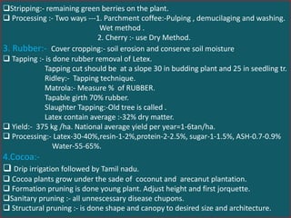 Stripping:- remaining green berries on the plant.
 Processing :- Two ways ---1. Parchment coffee:-Pulping , demucilaging and washing.
Wet method .
2. Cherry :- use Dry Method.
3. Rubber:- Cover cropping:- soil erosion and conserve soil moisture
 Tapping :- is done rubber removal of Letex.
Tapping cut should be at a slope 30 in budding plant and 25 in seedling tr.
Ridley:- Tapping technique.
Matrola:- Measure % of RUBBER.
Tapable girth 70% rubber.
Slaughter Tapping:-Old tree is called .
Latex contain average :-32% dry matter.
 Yield:- 375 kg /ha. National average yield per year=1-6tan/ha.
 Processing:- Latex-30-40%,resin-1-2%,protein-2-2.5%, sugar-1-1.5%, ASH-0.7-0.9%
Water-55-65%.
4.Cocoa:-
 Drip irrigation followed by Tamil nadu.
 Cocoa plants grow under the sade of coconut and arecanut plantation.
 Formation pruning is done young plant. Adjust height and first jorquette.
Sanitary pruning :- all unnescessary disease chupons.
 Structural pruning :- is done shape and canopy to desired size and architecture.
 