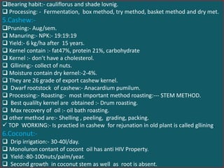 Bearing habit:- cauliflorus and shade lovnig.
 Processing: - Fermentation, box method, try method, basket method and dry met.
5.Cashew:-
Pruning:- Aug/sem.
 Manuring:- NPK:- 19:19:19
 Yield:- 6 kg/ha after 15 years.
 Kernel contain :- fat47%, protein 21%, carbohydrate
 Kernel :- don’t have a cholesterol.
 Gllining:- collect of nuts.
 Moisture contain dry kernel:-2-4%.
 They are 26 grade of export cashew kernel.
 Dwarf rootstock of cashew:- Anacardium pumilum.
 Processing:- Roasting:- most important method roasting:--- STEM METHOD.
 Best qualilty kernel are obtained :- Drum roasting.
 Max recovery of oil :- oil bath roasting.
 other method are:- Shelling , peeling, grading, packing.
 TOP WORKING:- Is practied in cashew for rejunation in old plant is called gllining.
6.Coconut:-
 Drip irrigation:- 30-40l/day.
 Monoluron contant of cocont oil has anti HIV Property.
 Yield:-80-100nuts/palm/year.
 Second growth in coconut stem as well as root is absent.
 