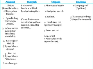 1.Mites
(Raoiella indica)
(Oligonychus
Indicus)
2. Spindle bug
(calvalhoia
Arecae)
3. Inflorenscens
Caterpillar
(tirathaba
mundella)
4. Koleroga or
Mahali
(phytophthora
Arecae)
5. Bud rot
(phytophthora
Palmivora).
6. Anabe roga .
Rhinoceros .
beetle and black
headed caterpilar .
Control measures
Are similer to those
recommended for
coconut…
1.Rhinoceros beetle.
2.Red palm weevil.
3.bud rot.
4. basal stem rot
(gonoderma spp.)
5.Stem wet rot.
6.spear rot
( Associated with
mycoplasma) .
1.Damping –off
(Pythium)
2.Tea mosquito bugs
(Helopeltis anntonii).
 