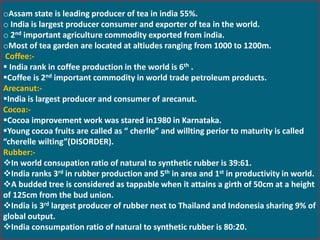 oAssam state is leading producer of tea in india 55%.
o India is largest producer consumer and exporter of tea in the world.
o 2nd important agriculture commodity exported from india.
oMost of tea garden are located at altiudes ranging from 1000 to 1200m.
Coffee:-
 India rank in coffee production in the world is 6th .
Coffee is 2nd important commodity in world trade petroleum products.
Arecanut:-
India is largest producer and consumer of arecanut.
Cocoa:-
Cocoa improvement work was stared in1980 in Karnataka.
Young cocoa fruits are called as “ cherlle” and willting perior to maturity is called
“cherelle wilting”(DISORDER).
Rubber:-
In world consupation ratio of natural to synthetic rubber is 39:61.
India ranks 3rd in rubber production and 5th in area and 1st in productivity in world.
A budded tree is considered as tappable when it attains a girth of 50cm at a height
of 125cm from the bud union.
India is 3rd largest producer of rubber next to Thailand and Indonesia sharing 9% of
global output.
India consumpation ratio of natural to synthetic rubber is 80:20.
 