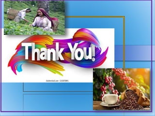 Plantation crops ..3(2+1)