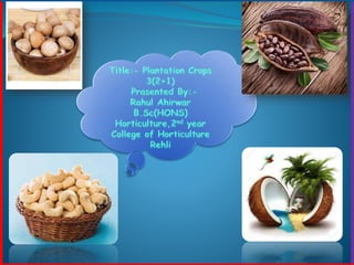Plantation crops ..3(2+1)