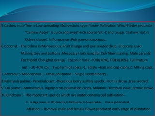 5.Cashew nut:-Tree is Low spreading-Monoecious type flower-Pollination Wind-Fleshy peduncle
“Cashew Apple” is Juicy and sweet-rich source Vit.-C and Sugar. Cashew fruit is
Kidney shaped. Inflorocence :Poly gamomonocious..
6.Coconut:- The palme is Monoecious. Fruit is large and one seeded drup. Endocarp used
Making toys and buttons .Mesocarp Husk used for Coir fiber making. Male parents
For hybrid Choughat orange . Coconut husk:-COIR(70%), FIBER(30%). Full mature
nut :- 30-40% coir . Two form of copra:-1. Edible –ball and cup copra.2. Milling copr.
7.Arecanut:- Monoecious. – Cross pollinated – Single seeded berry .
8.Palmyrah palme:- Perenial plant.-Dioecious berry axillary spadix. Fruit is drupe .tree seeded.
9. Oil palme:- Monoecious. Highly cross pollinatted crops. Ablation:- removal male ,female flowe
10.Cinchona :- The important species which are under commercial cultivation--
C. Ledgeriana,C.Oficinelis,C.Robusta,C.Succiruba. Cross polinated
Ablation :- Removal male and female flower produced early stage of plantation.
 