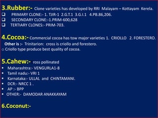 3.Rubber:- Clone varieties has developed by RRI Malayam – Kottayam Kerela.
 PRIMARY CLONE:- 1. TJIR-1 2.G.T.1 3.G.I.1 4.PB.86,206.
 SECONDARY CLONE:-1.PRIM-600,628
 TERTIARY CLONES:- PRIM-703.
4.Cocoa:-Commercial cocoa has tow major varieties 1. CRIOLLO 2. FORESTERO.
Other is :- Trinitarion: cross is criollo and forestero.
o Criollo type produce best quality of cocoa.
5.Cahew:-Cross pollinated
 Maharashtra:- VENGURLA1-8
 Tamil nadu:- VRI 1
 Karnataka:- ULLAL and CHINTAMANI.
 DCR:- NRCC 1 .
 AP :- BPP
 OTHER:- DAMODAR ANAKKAYAM
6.Coconut:-
 