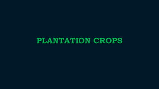 PLANTATION CROPS
 