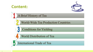 Content:
2
A Brief History of Tea
World-Wide Tea Production Countries
Conditions for Yielding
World Distribution of Tea
International Trade of Tea
 