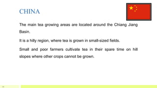 CHINA
The main tea growing areas are located around the Chiang Jiang
Basin.
It is a hilly region, where tea is grown in small-sized fields.
Small and poor farmers cultivate tea in their spare time on hill
slopes where other crops cannot be grown.
20
 