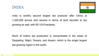 INDIA
India is world’s second largest tea producer after China at
1,325,050 tonnes and second in terms of land devoted to tea
growing as well, with 621,610 hectares.
Much of India’s tea production is concentrated in the areas of
Darjeeling, Nilgiri, Dooars, and Assam, which is the single largest
tea growing region in the world.
23
 