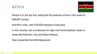 KENYA
Kenya is in the top five, being the #3 producer of tea in the world at
439,857 tonnes.
And #4 in area, with 218,538 hectares of tea land.
In this country, tea is produced on high and humid plateau areas in
areas like Kairochi, Liou and Mount Kenya.
Tea is exported from Mombasa port.
26
 