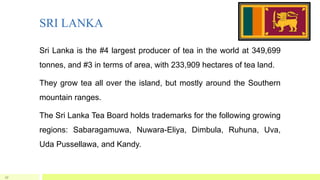 SRI LANKA
Sri Lanka is the #4 largest producer of tea in the world at 349,699
tonnes, and #3 in terms of area, with 233,909 hectares of tea land.
They grow tea all over the island, but mostly around the Southern
mountain ranges.
The Sri Lanka Tea Board holds trademarks for the following growing
regions: Sabaragamuwa, Nuwara-Eliya, Dimbula, Ruhuna, Uva,
Uda Pussellawa, and Kandy.
27
 