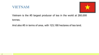 VIETNAM
Vietnam is the #5 largest producer of tea in the world at 260,000
tonnes.
And also #5 in terms of area, with 123,188 hectares of tea land.
28
 