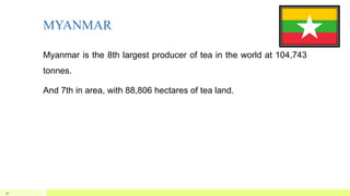 MYANMAR
Myanmar is the 8th largest producer of tea in the world at 104,743
tonnes.
And 7th in area, with 88,806 hectares of tea land.
31
 