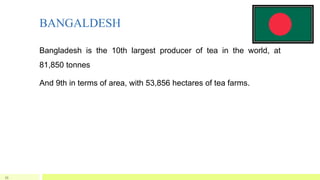 BANGALDESH
Bangladesh is the 10th largest producer of tea in the world, at
81,850 tonnes
And 9th in terms of area, with 53,856 hectares of tea farms.
33
 