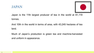 JAPAN
Japan is the 11th largest producer of tea in the world at 81,119
tonnes.
And 10th in the world in terms of area, with 43,245 hectares of tea
land.
Much of Japan’s production is green tea and machine-harvested
and uniform in appearance.
34
 