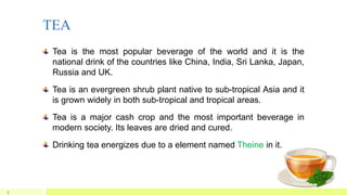 TEA
5
Tea is the most popular beverage of the world and it is the
national drink of the countries like China, India, Sri Lanka, Japan,
Russia and UK.
Tea is an evergreen shrub plant native to sub-tropical Asia and it
is grown widely in both sub-tropical and tropical areas.
Tea is a major cash crop and the most important beverage in
modern society. Its leaves are dried and cured.
Drinking tea energizes due to a element named Theine in it.
 