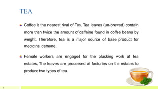 TEA
6
Coffee is the nearest rival of Tea. Tea leaves (un-brewed) contain
more than twice the amount of caffeine found in coffee beans by
weight. Therefore, tea is a major source of base product for
medicinal caffeine.
Female workers are engaged for the plucking work at tea
estates. The leaves are processed at factories on the estates to
produce two types of tea.
 