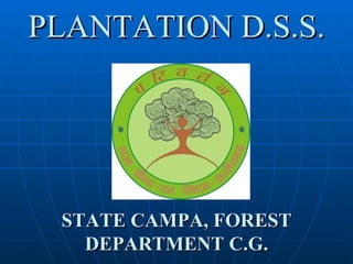 PLANTATION D.S.S. STATE CAMPA, FOREST DEPARTMENT C.G. 