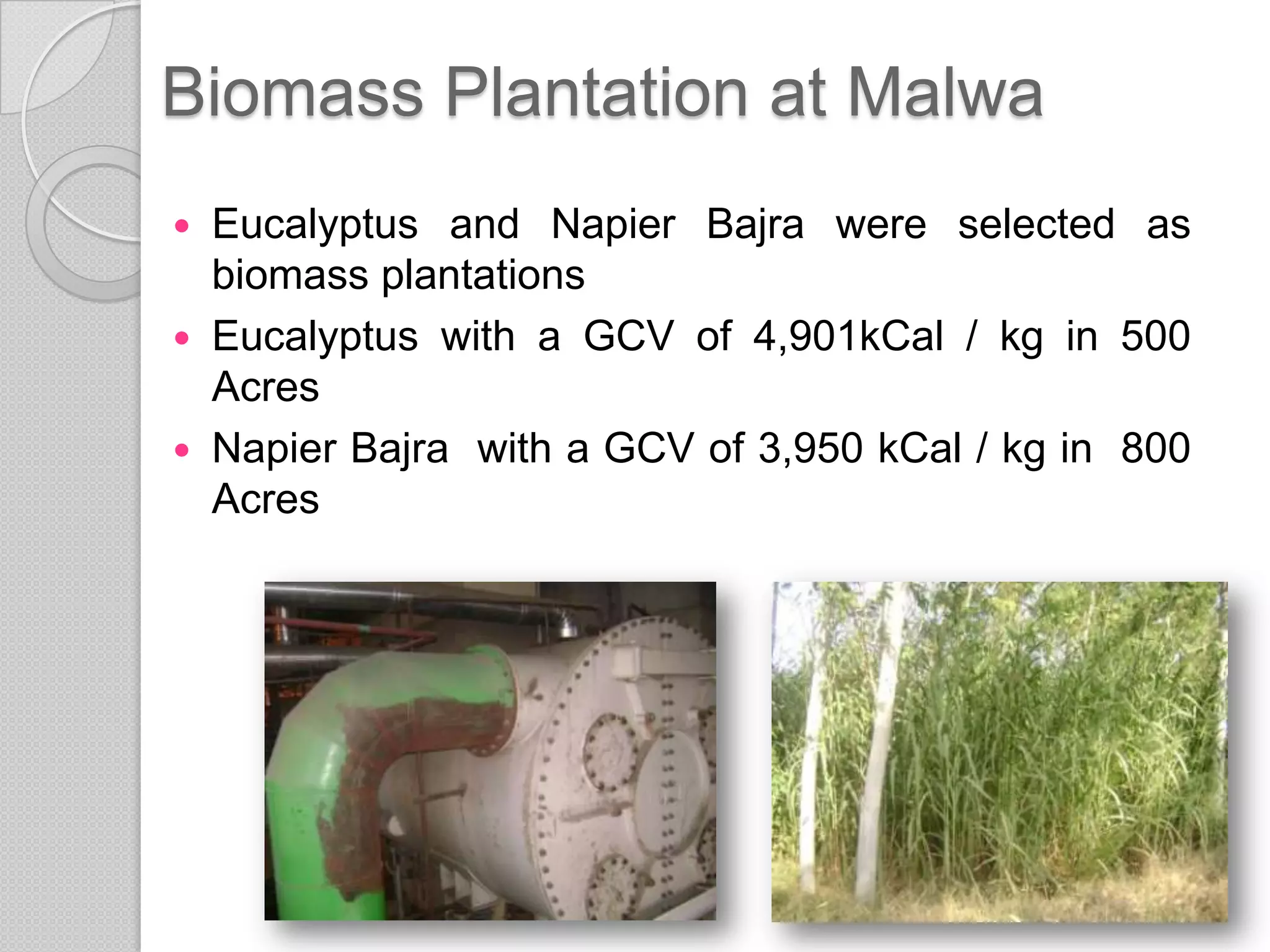 Biomass Plantation at Malwa
 Eucalyptus and Napier Bajra were selected as
  biomass plantations
 Eucalyptus with a GCV of 4,901kCal / kg in 500
  Acres
 Napier Bajra with a GCV of 3,950 kCal / kg in 800
  Acres
 