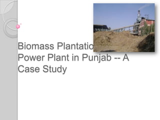 Biomass Plantations Backed
Power Plant in Punjab -- A
Case Study
 