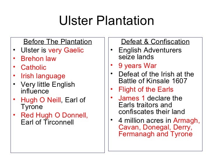 Plantations in ireland