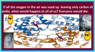 If all the oxygen in the air was used up leaving only carbon di
oxide, what would happen to all of us? Everyone would die.
 