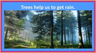Trees help us to get rain.
 