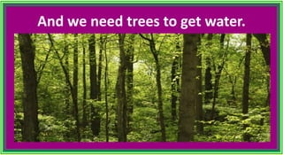 And we need trees to get water.
 