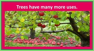 Trees have many more uses.
 