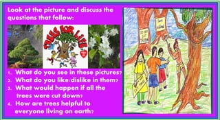 Look at the picture and discuss the
questions that follow:
1. What do you see in these pictures?
2. What do you like/dislike in them?
3. What would happen if all the
trees were cut down?
4. How are trees helpful to
everyone living on earth?
 