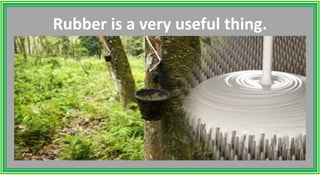 Rubber is a very useful thing.
 
