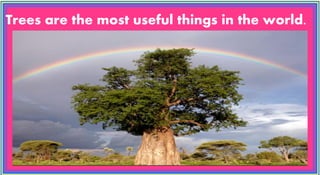 Trees are the most useful things in the world.
 